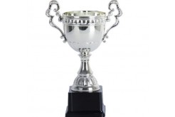 Kupalar ve Madalyalar